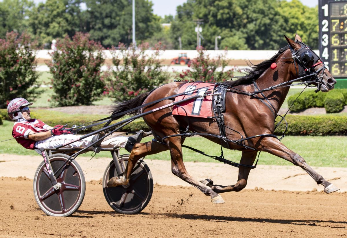 U.S. Trotting Assn. tweet media