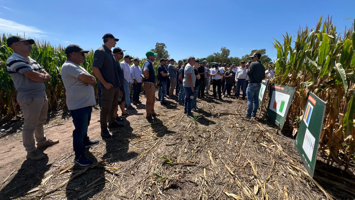 Precision Planting Argentina tweet media