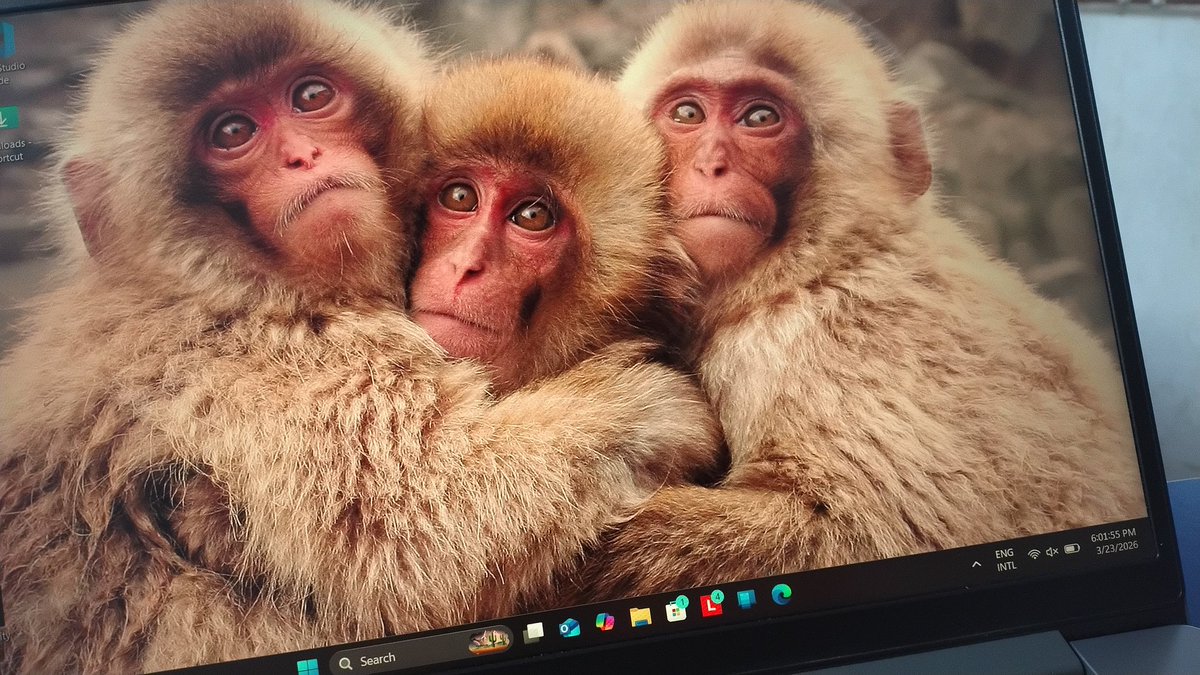 🙈🙉🙊
😉😋