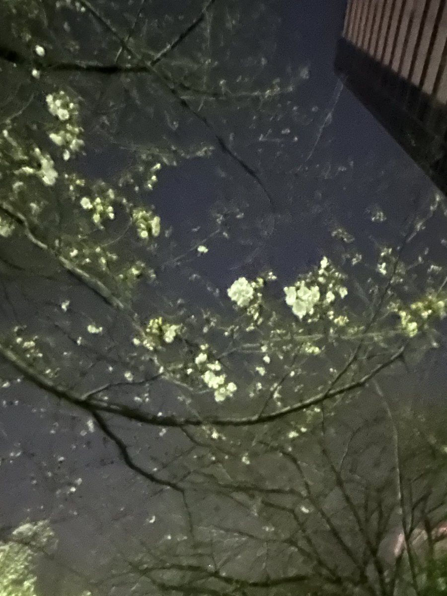 紺野光広 tweet media