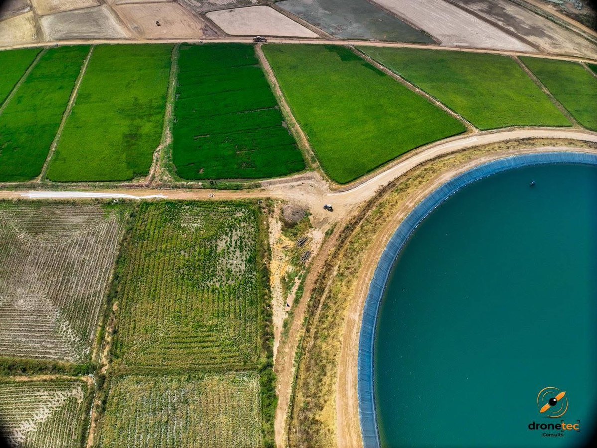 Benedict Amelorku tweet media