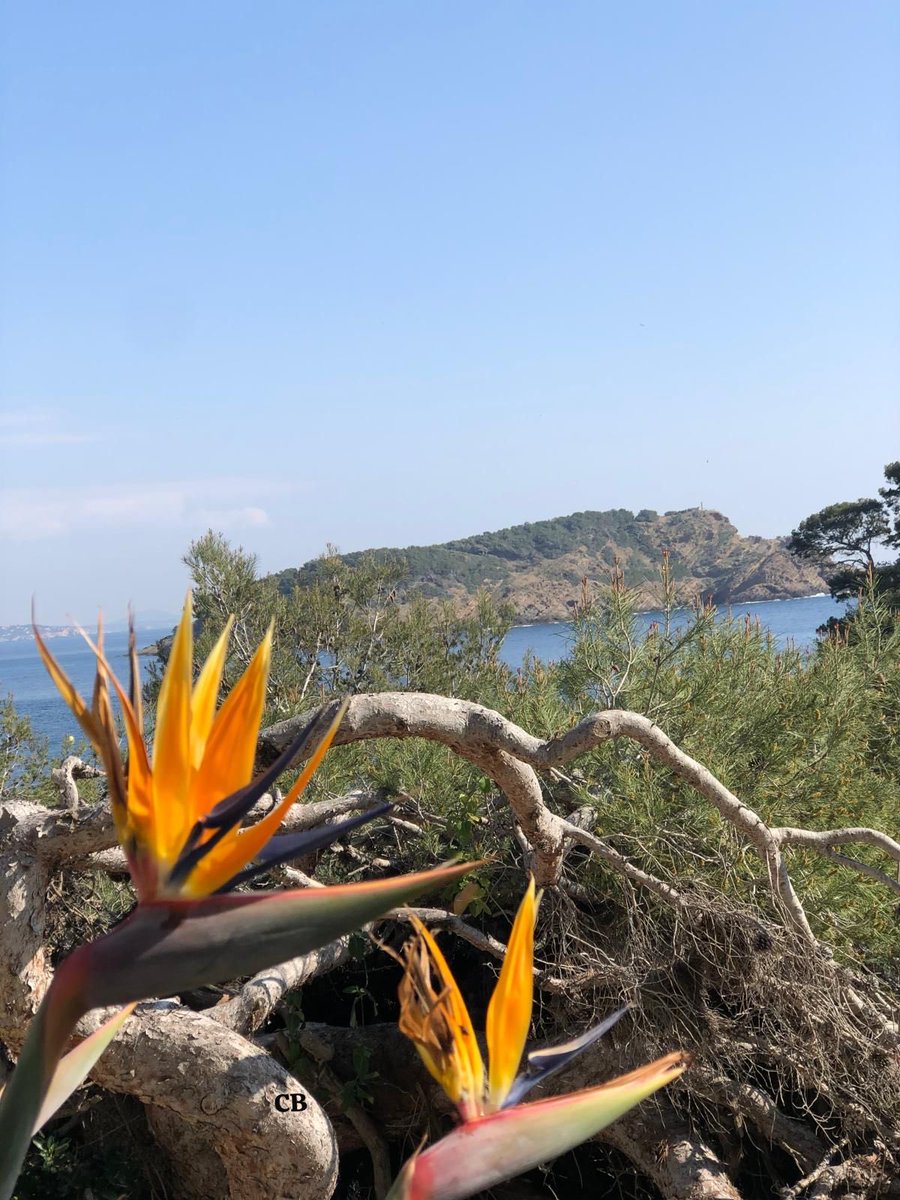 Catherine Benoist tweet media