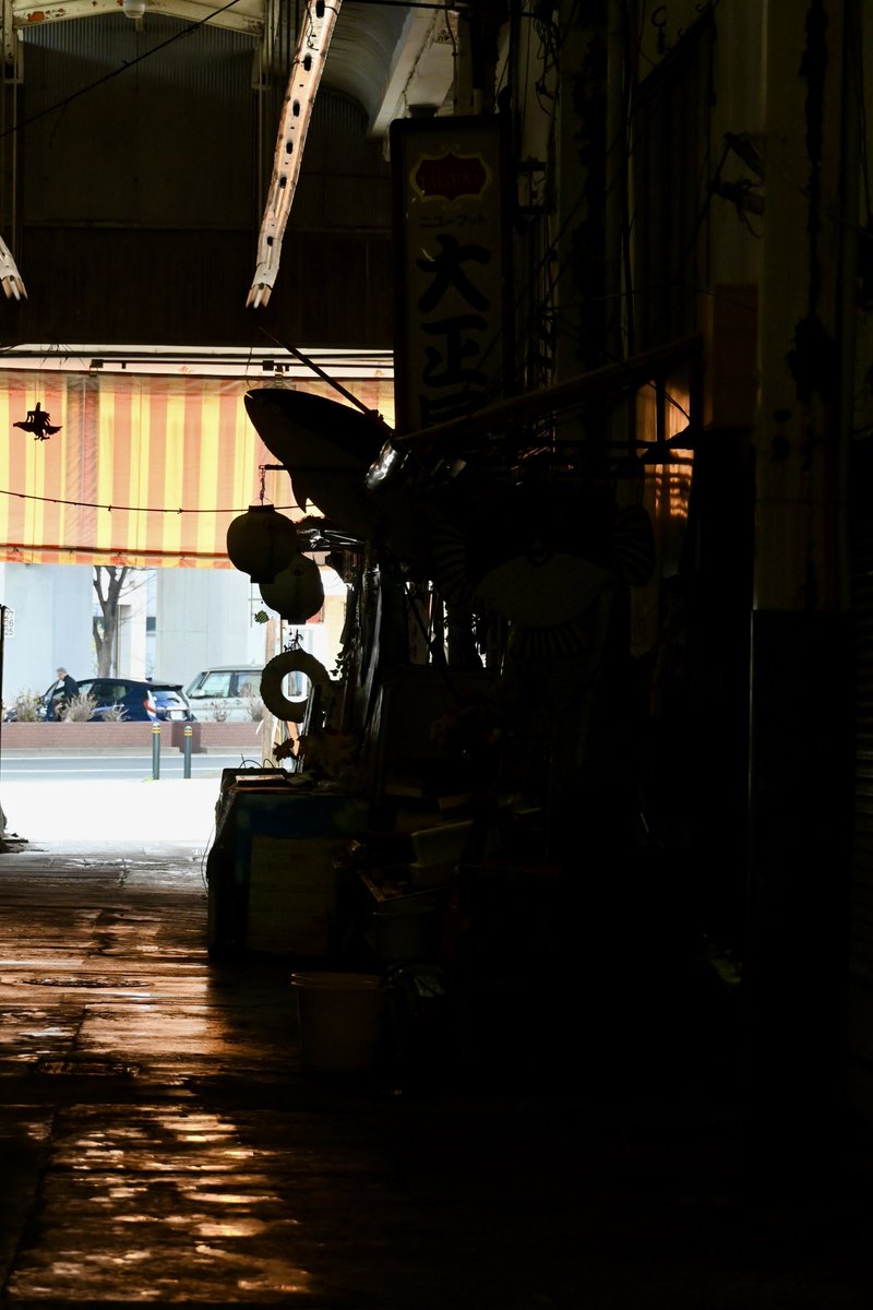 羽鳥写真館 tweet media