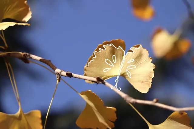 NuruIffah AbHalim tweet media