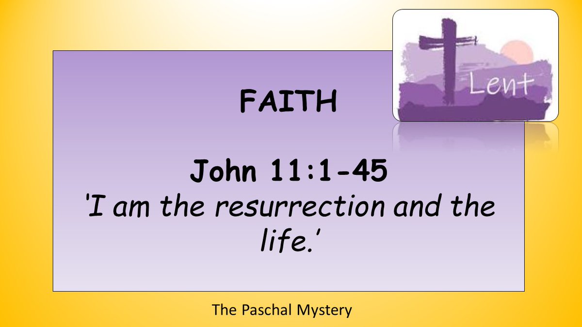 St Thomas More RC College tweet media