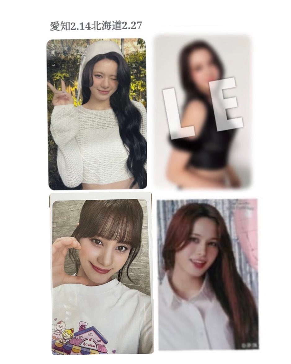 🐺🦊 tweet media