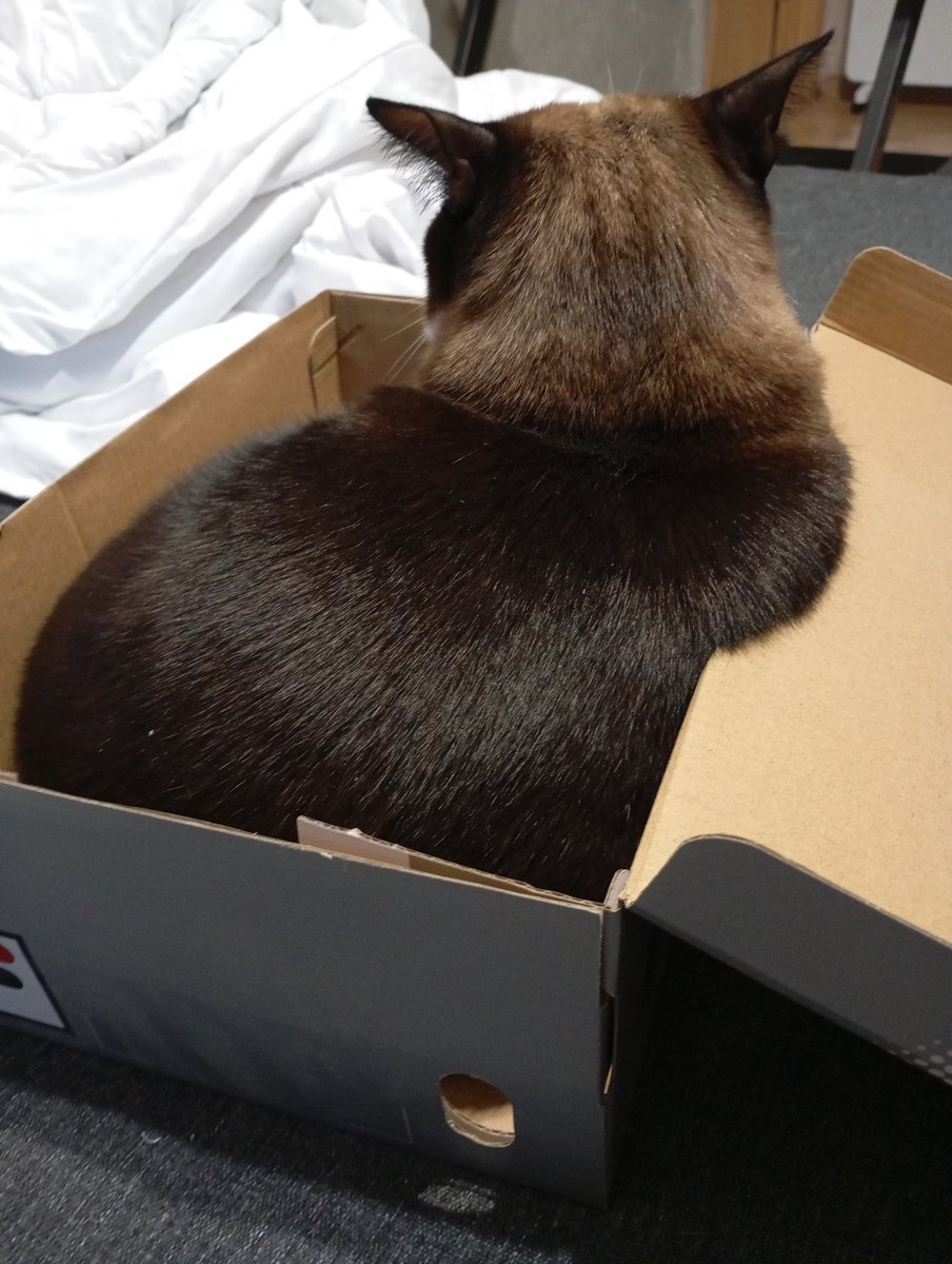 Mila Grifon tweet media