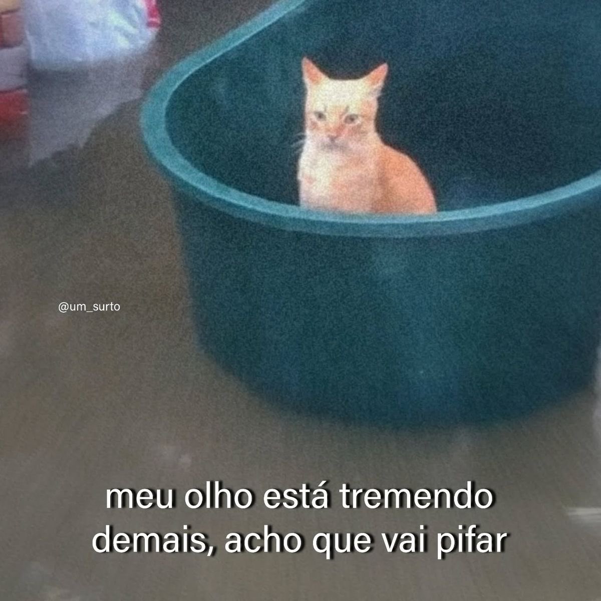 Pagina lixo tweet media