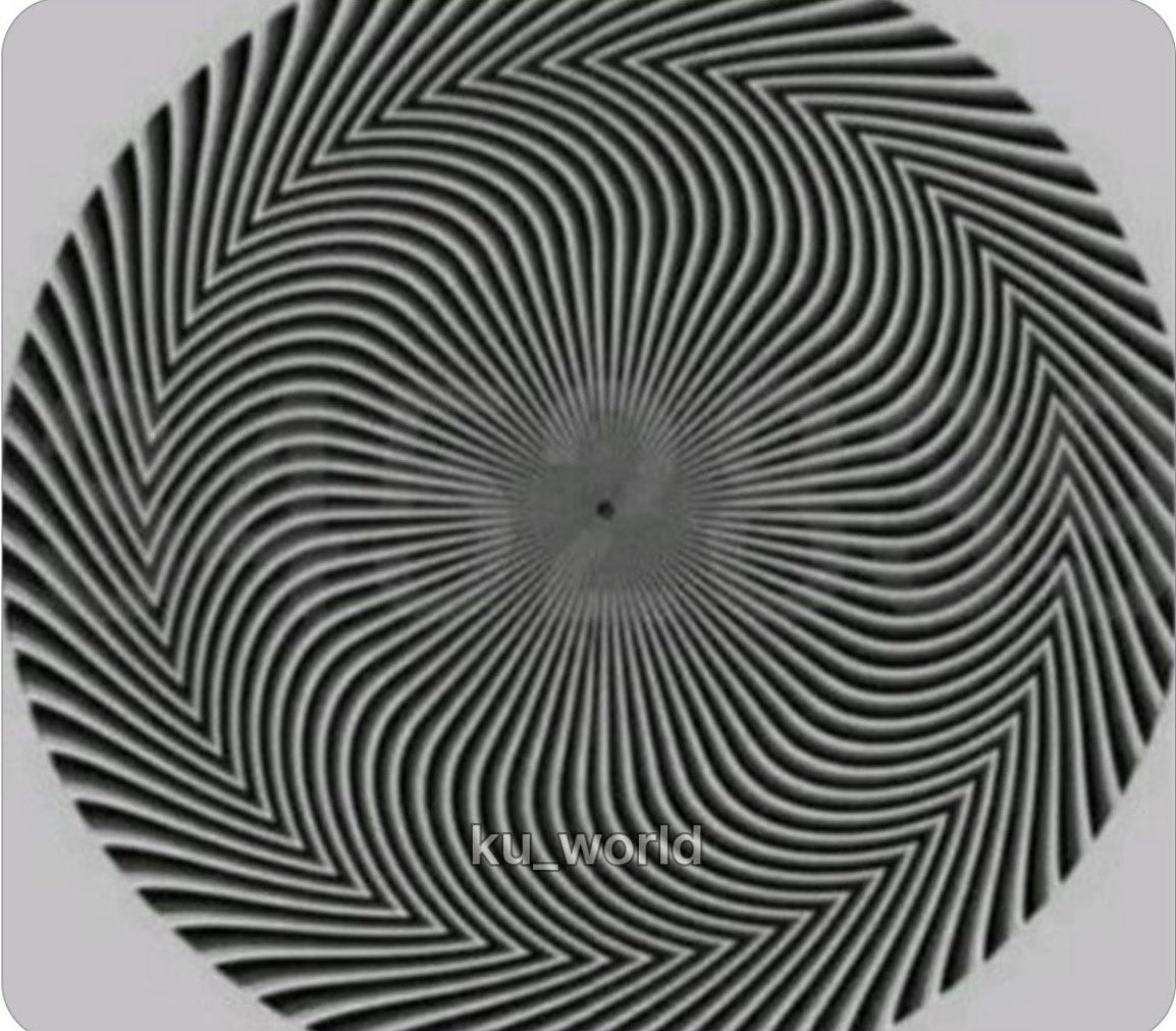 ₿itcoin hodler⚡️ tweet media