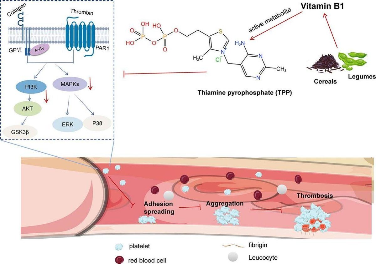 Elliot Overton tweet media