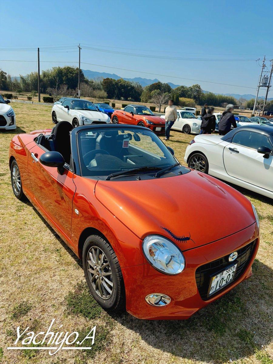 東 八千代 🤡 tweet media