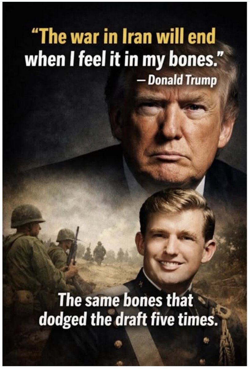 PlowOn 🦉 tweet media