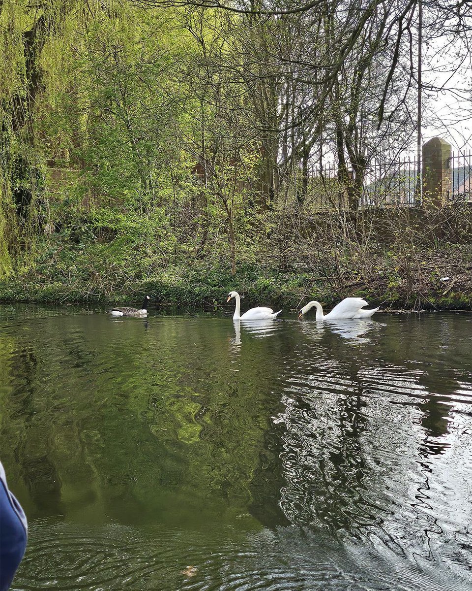 The Independence Initiative tweet media