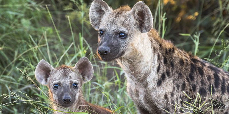 Rough Notes tweet media