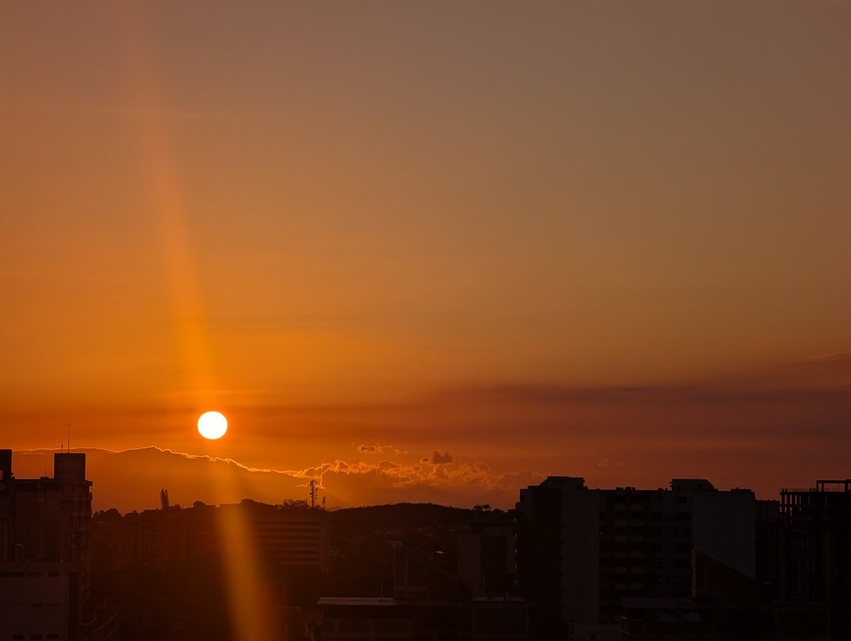 Inti Acevedo 🐦 tweet media