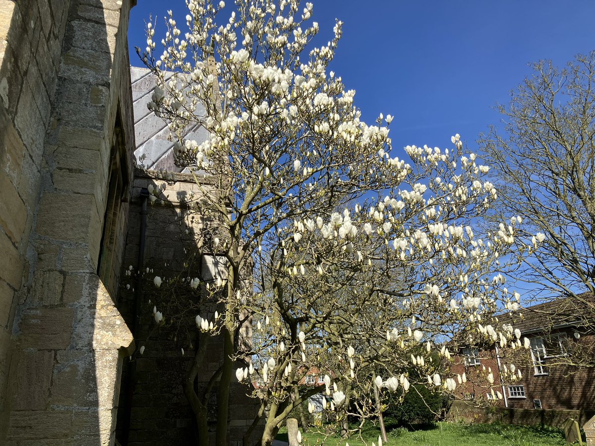 That Flo Woman tweet media