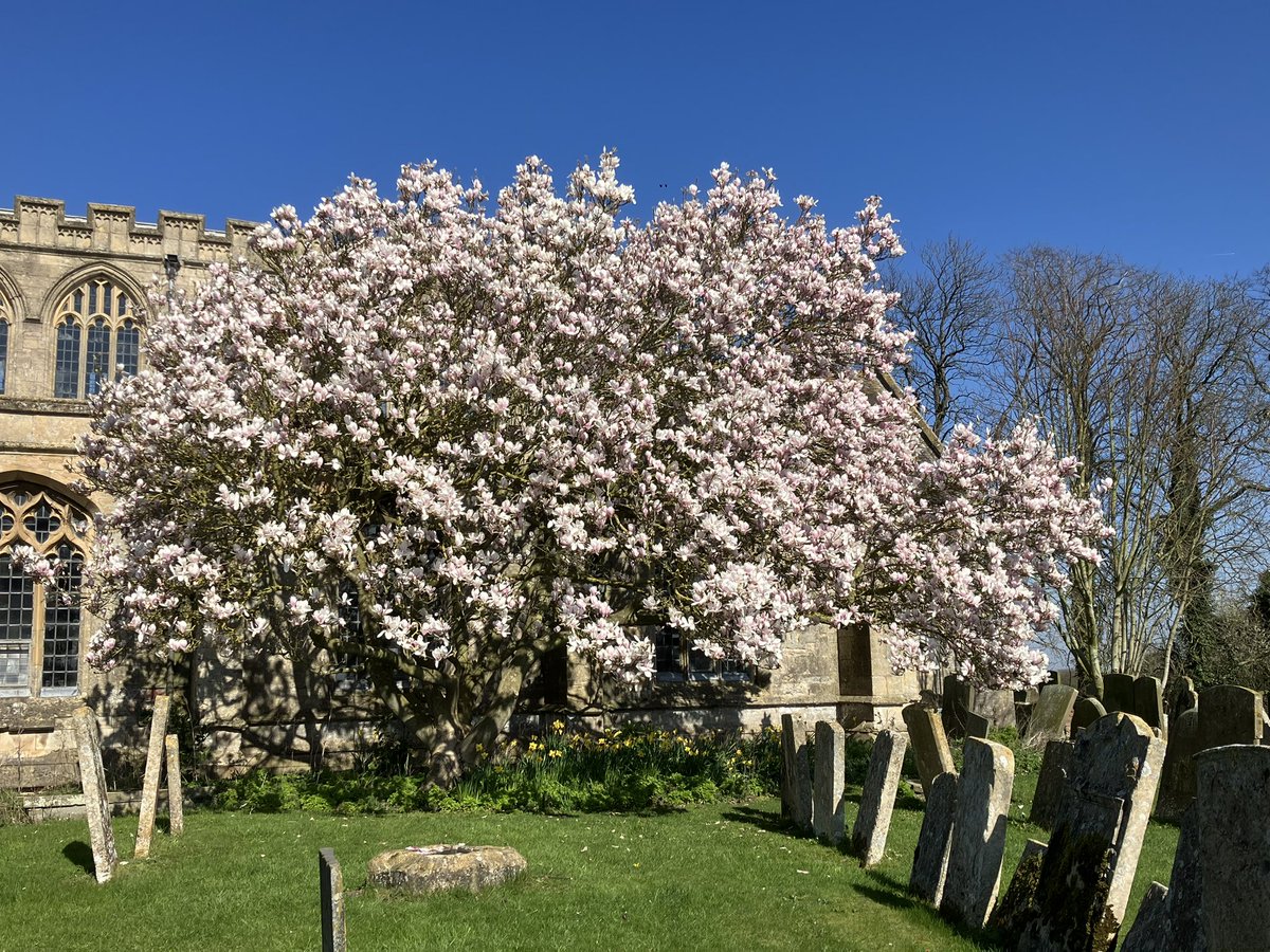 That Flo Woman tweet media