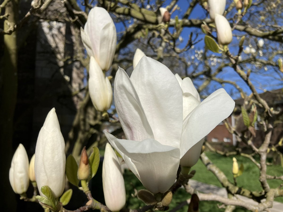 That Flo Woman tweet media