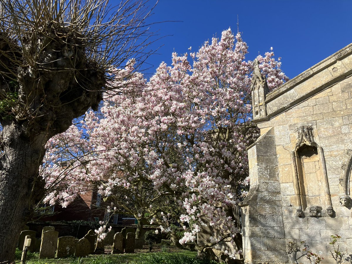 That Flo Woman tweet media