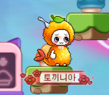 이루코 니아🐬🩵 tweet media