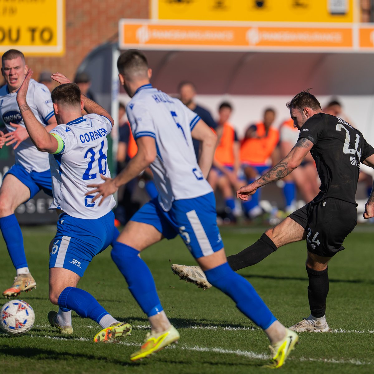 Worthing FC tweet media