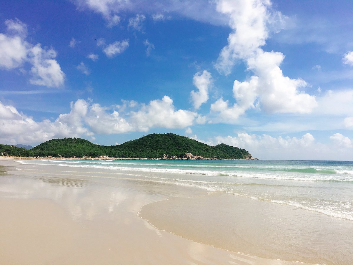 Tạ Đào | Doris tweet media
