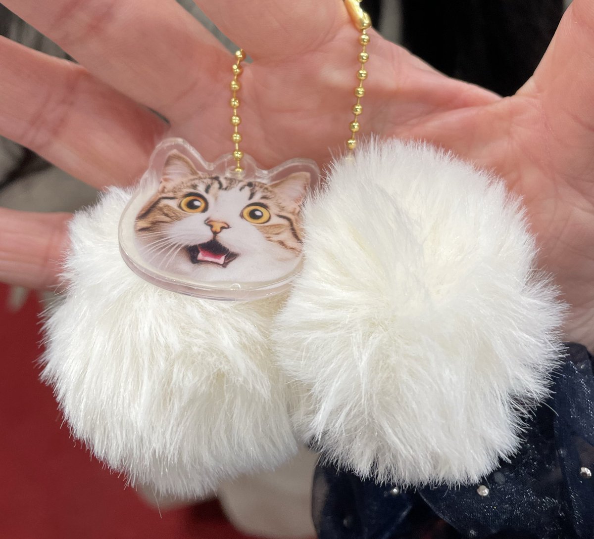 🕊️🦚⚰️ tweet media