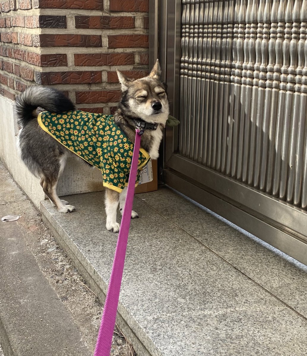 𝕏 리쭈 𝕏 tweet media