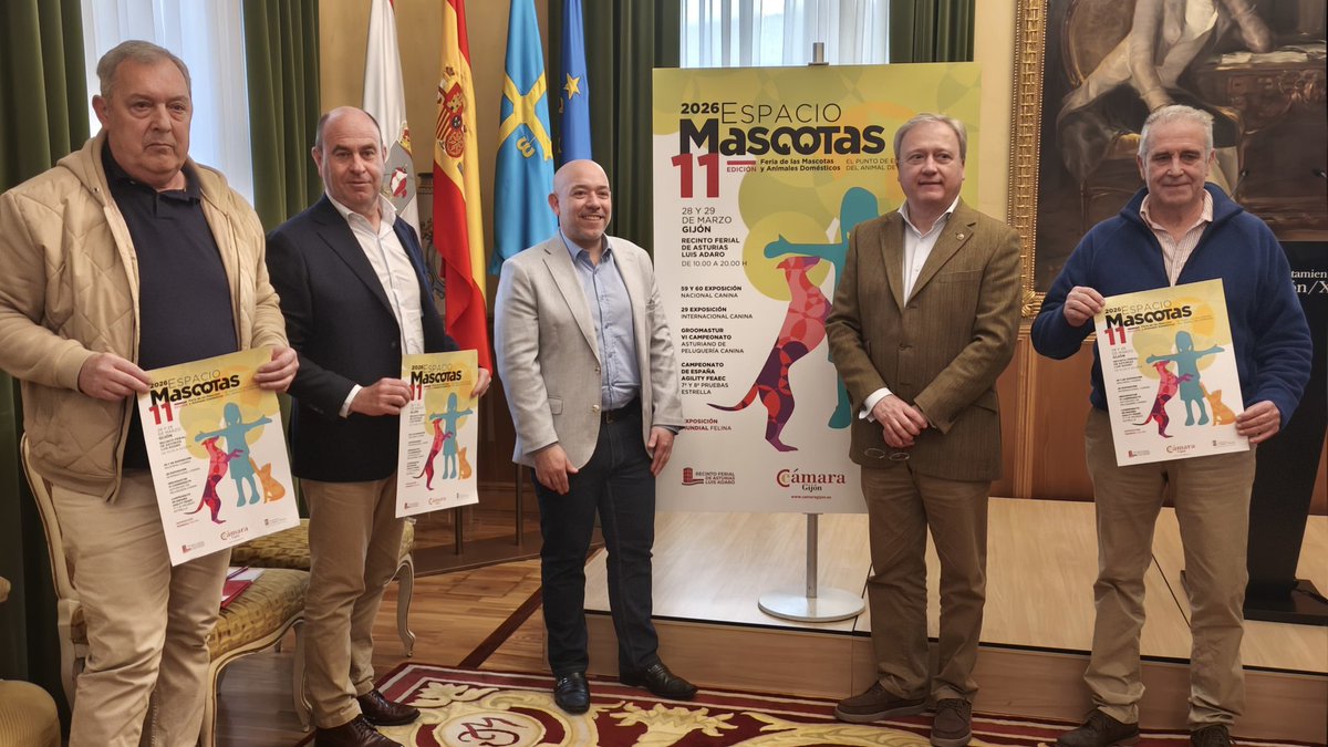 Grupo Municipal PP Gijón tweet media