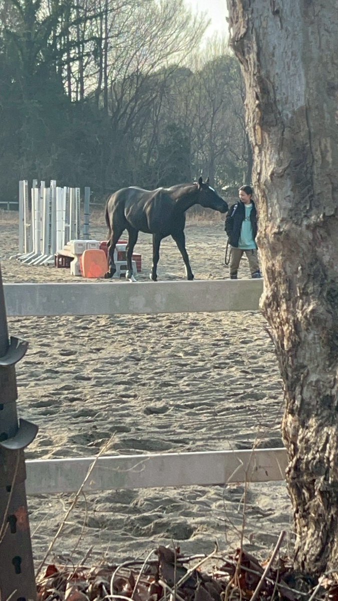 tsukuuma2026's tweet photo. 【筑波大馬術部ってこんなトコ①】

①歯磨きをする主将と気になるコウセイ
②放牧中仲良しな桐藍と担当者
③おんなじ顔とポーズの桐照と担当者
④甘えたい気分なホクラニと元サブ担当者

こんな人馬が馬場で待ってます✨ぜひ会いに来てください！

#筑波新歓2026
#春から筑波 https://t.co/QWFJDPBXPB
