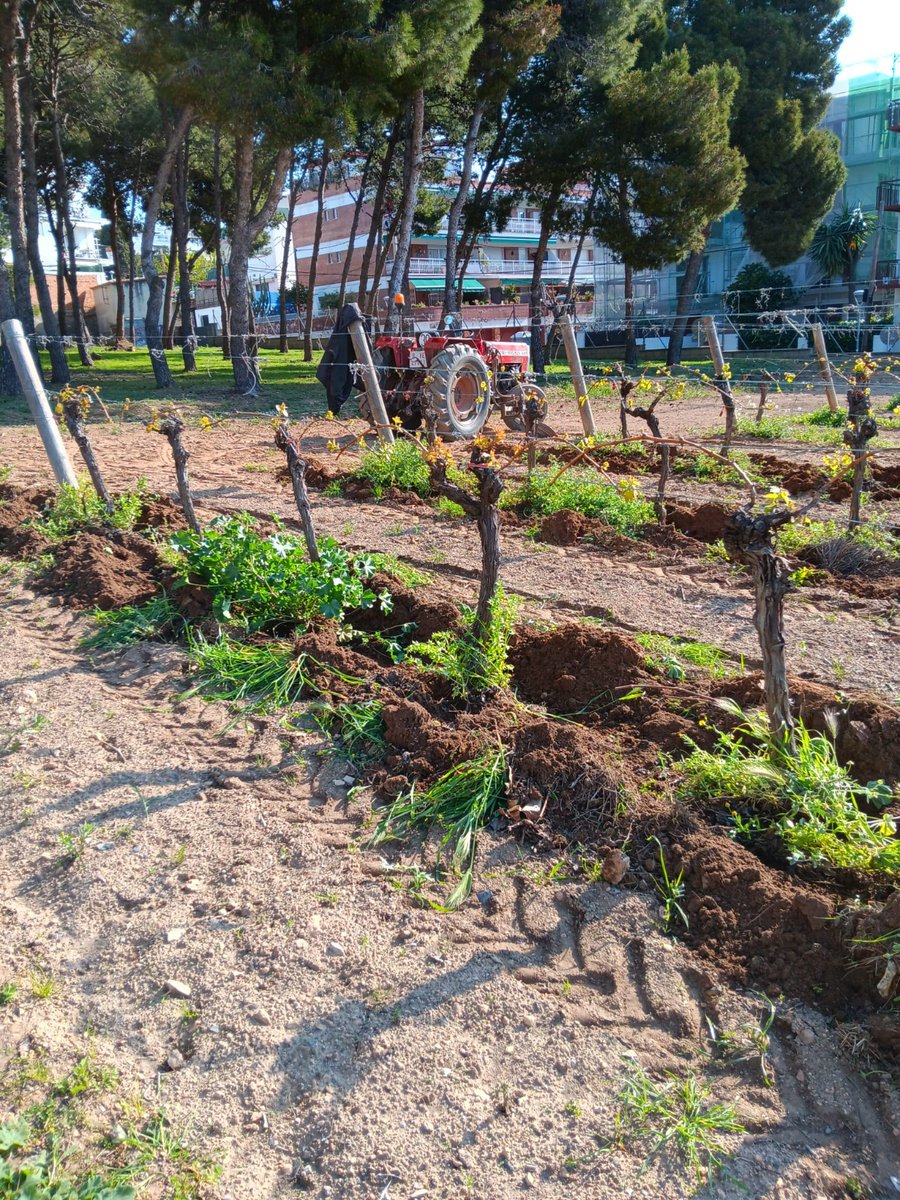 Ajuntament de Sitges tweet media