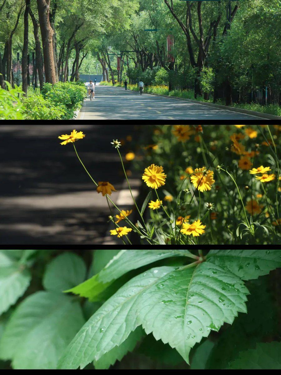 ashutosh rathi tweet media