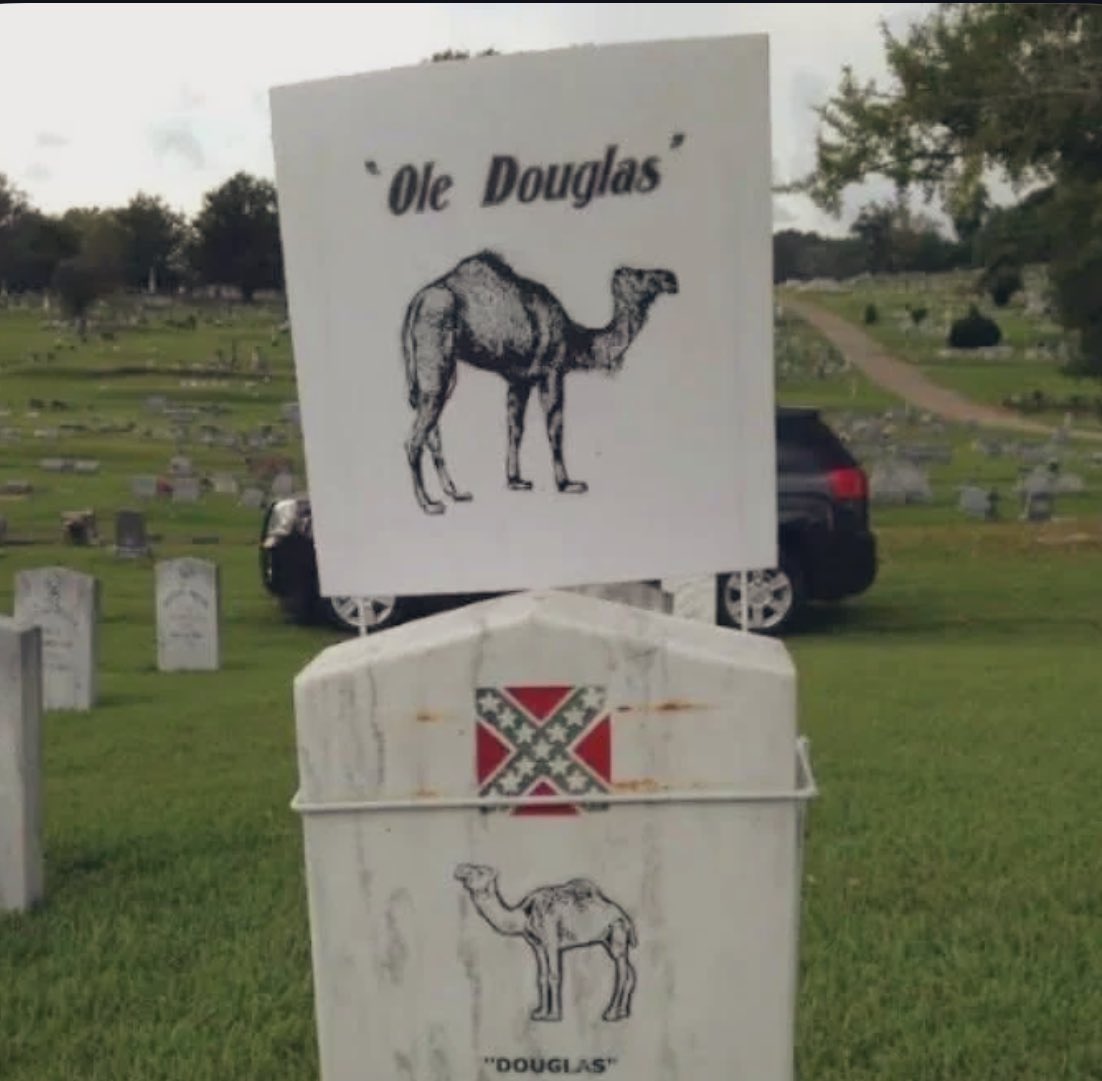 MoundLore tweet media