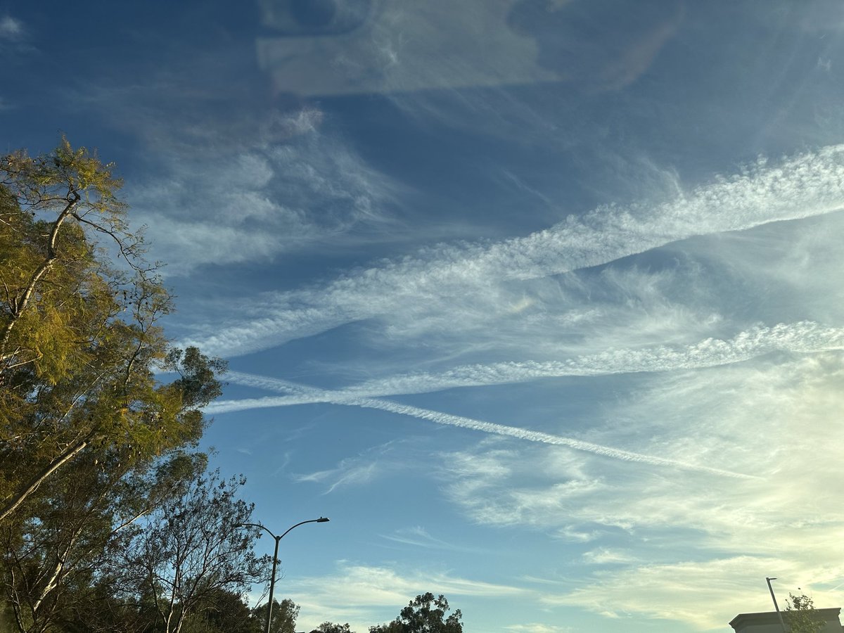 You Can Be Free tweet media