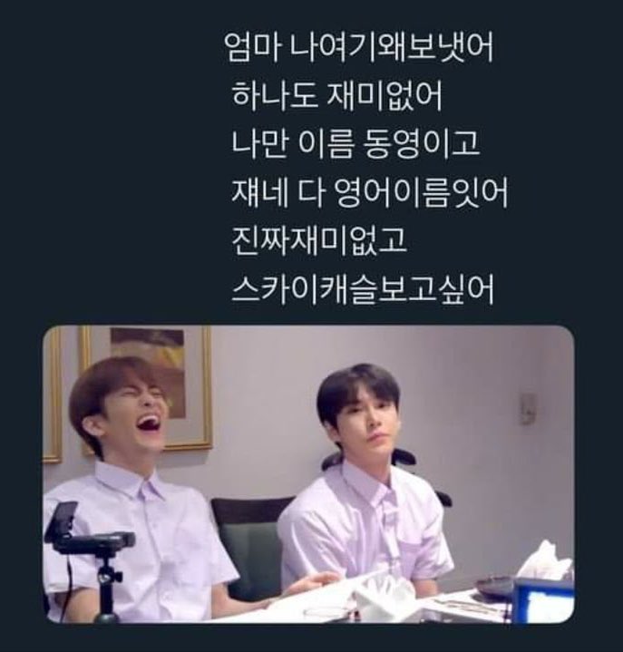 영어캠프랑 비슷한것같은데