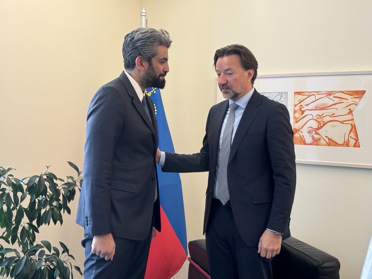 STCFEA - الخارجية الجنوبية tweet media