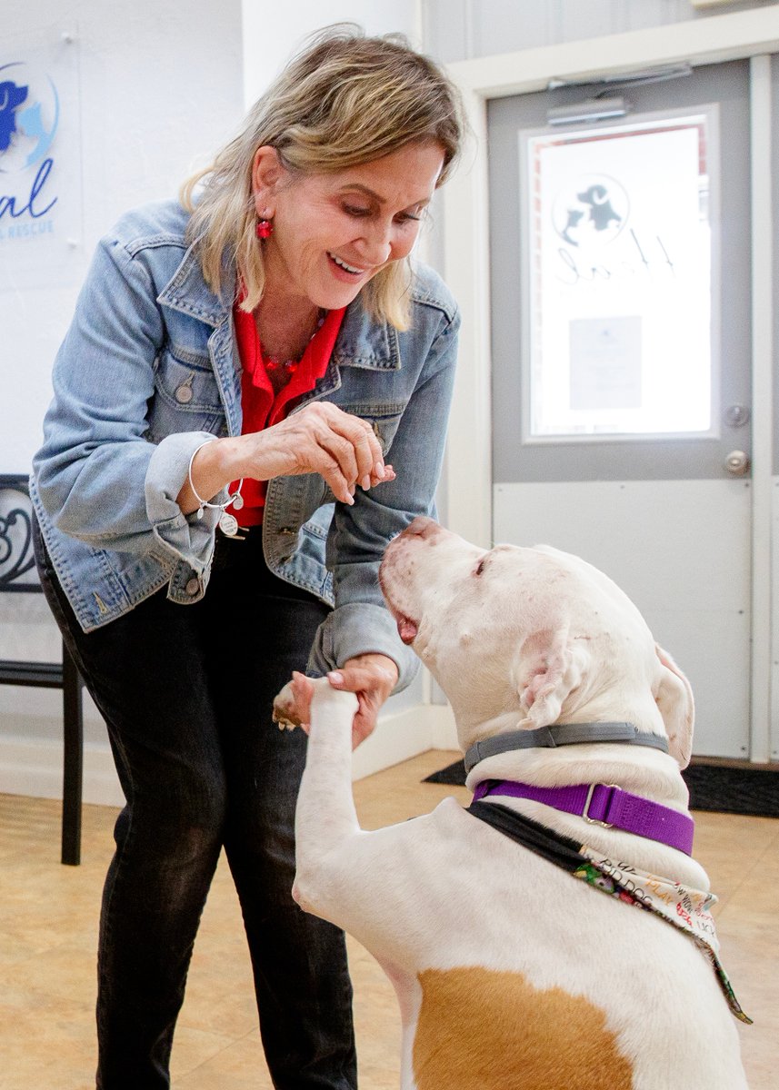 Happy #NationalPuppyDay to all of the furry friends in PA! 🐶❤️

Spread the love and consider donating supplies or volunteering at your local animal shelter. 

#AdoptDontShop ❤️