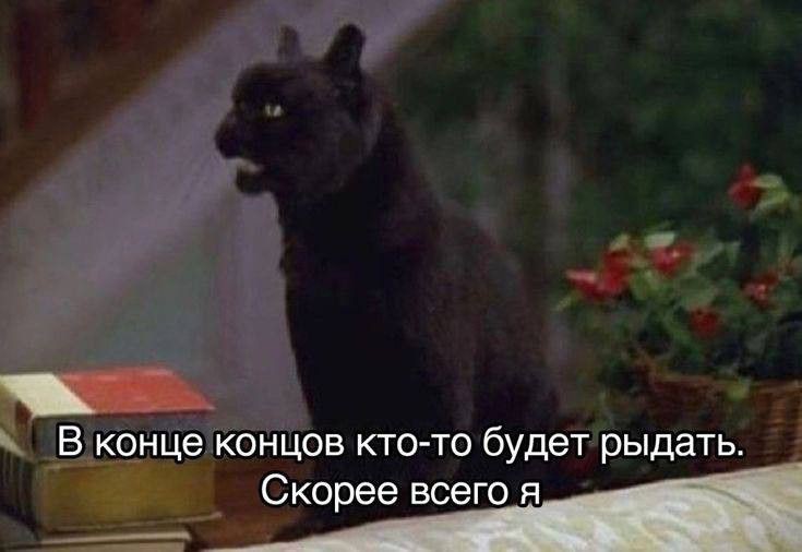 Your Fox tweet media