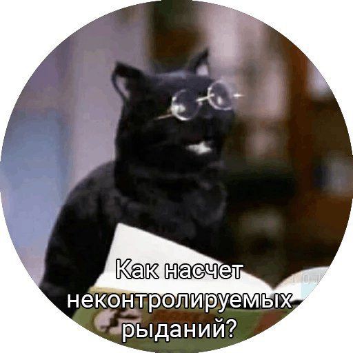 Your Fox tweet media