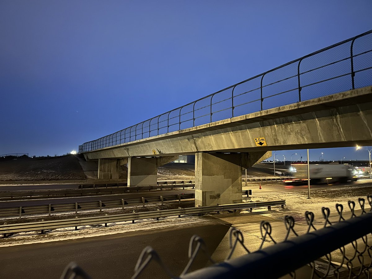 Libby Gray tweet media