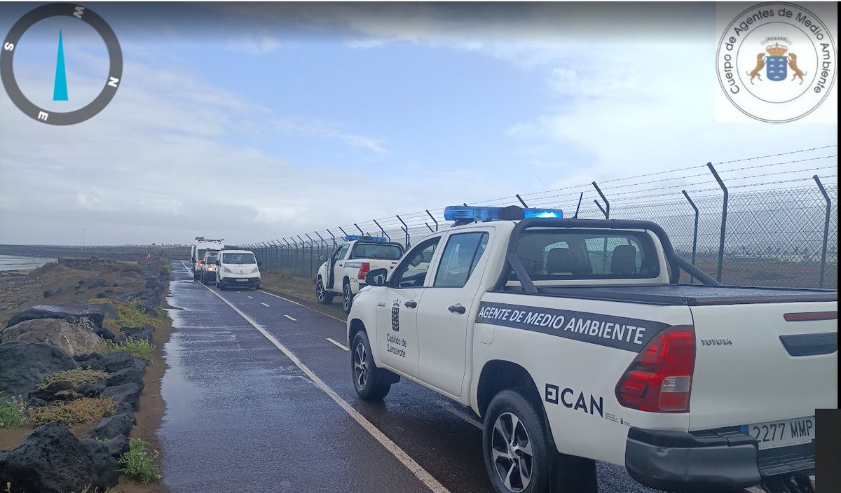 Medio Ambiente Lanzarote tweet media