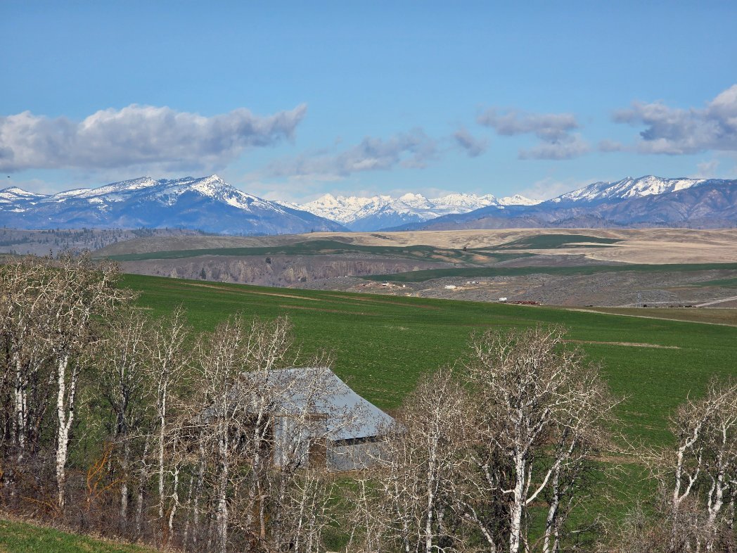 Matt who loves tacos so much he moved to Mexico. tweet media