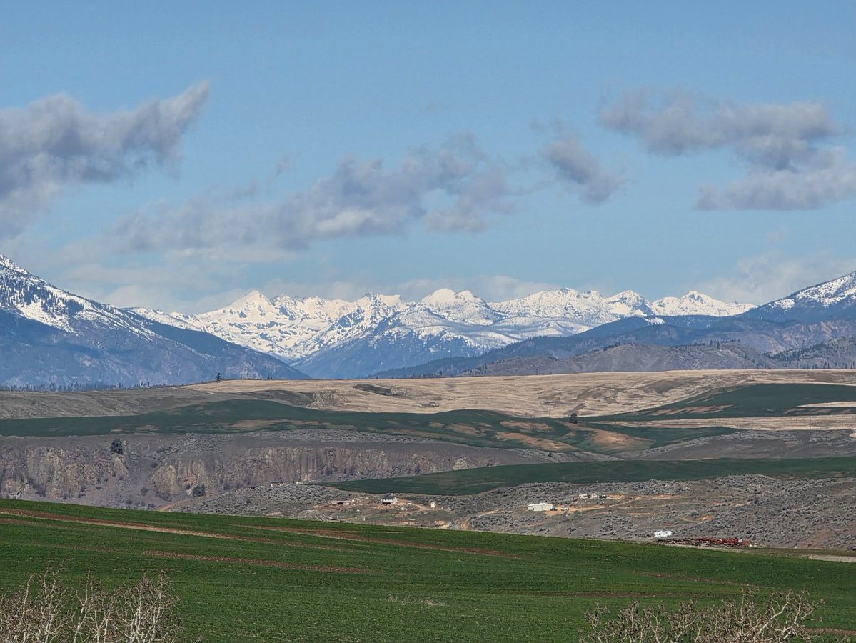 Matt who loves tacos so much he moved to Mexico. tweet media