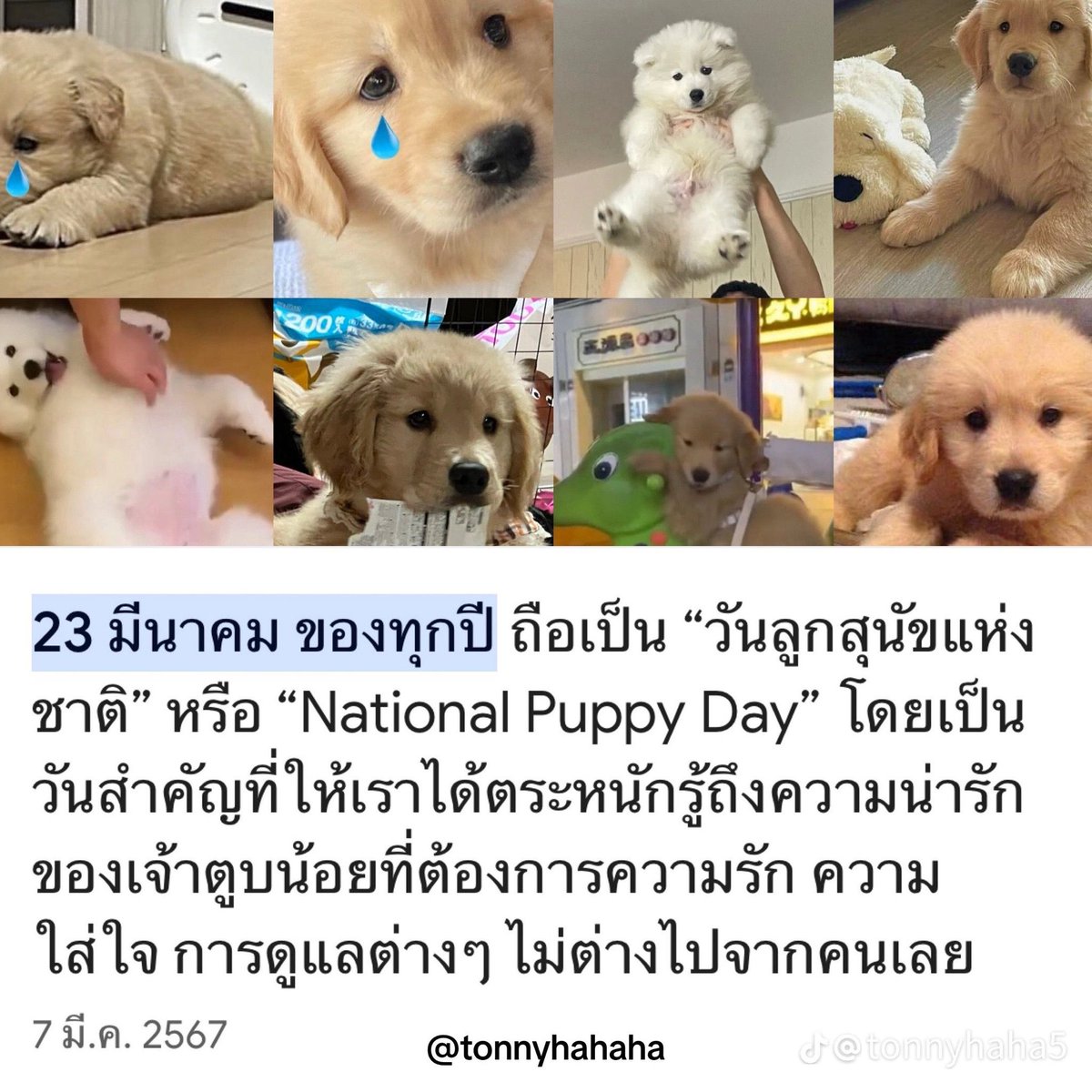 ปย #ทีมพี่ปริม tweet media