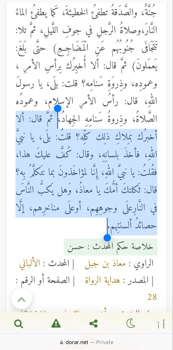 هُمام tweet media