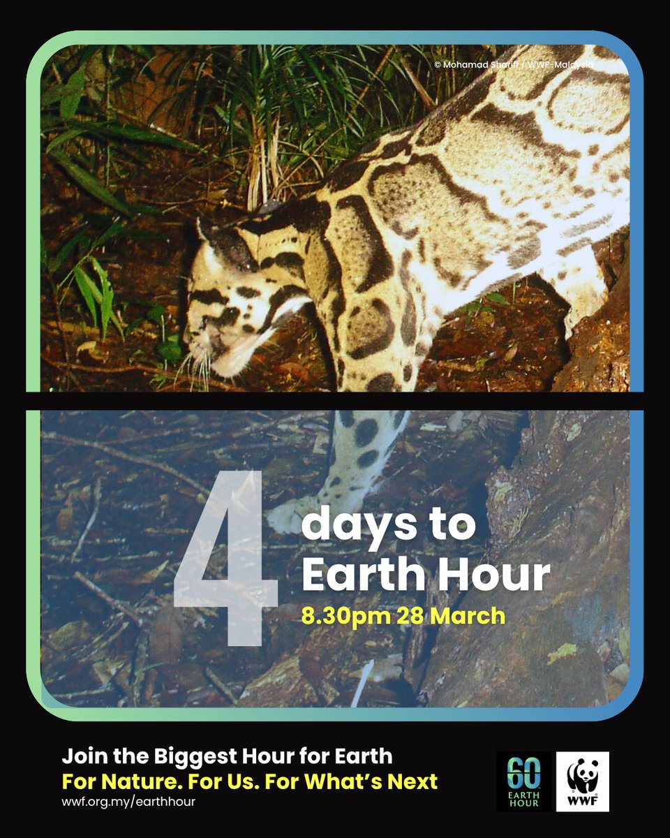 WWF-Malaysia tweet media