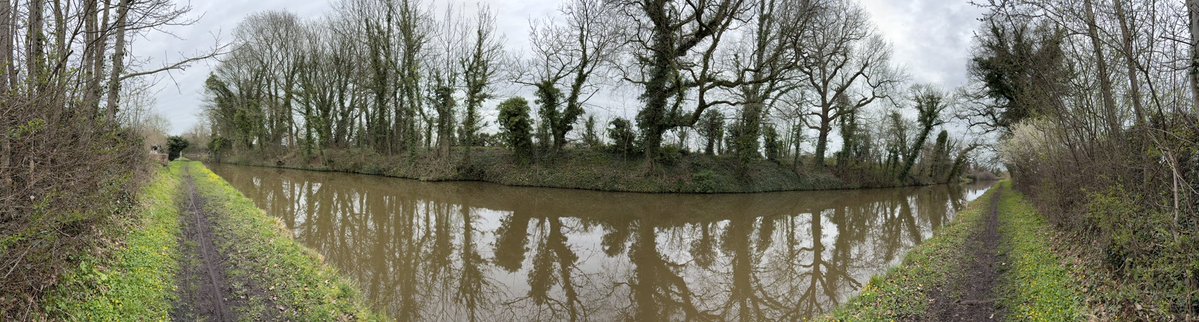 Puppy Bess and Auntie Kes tweet media