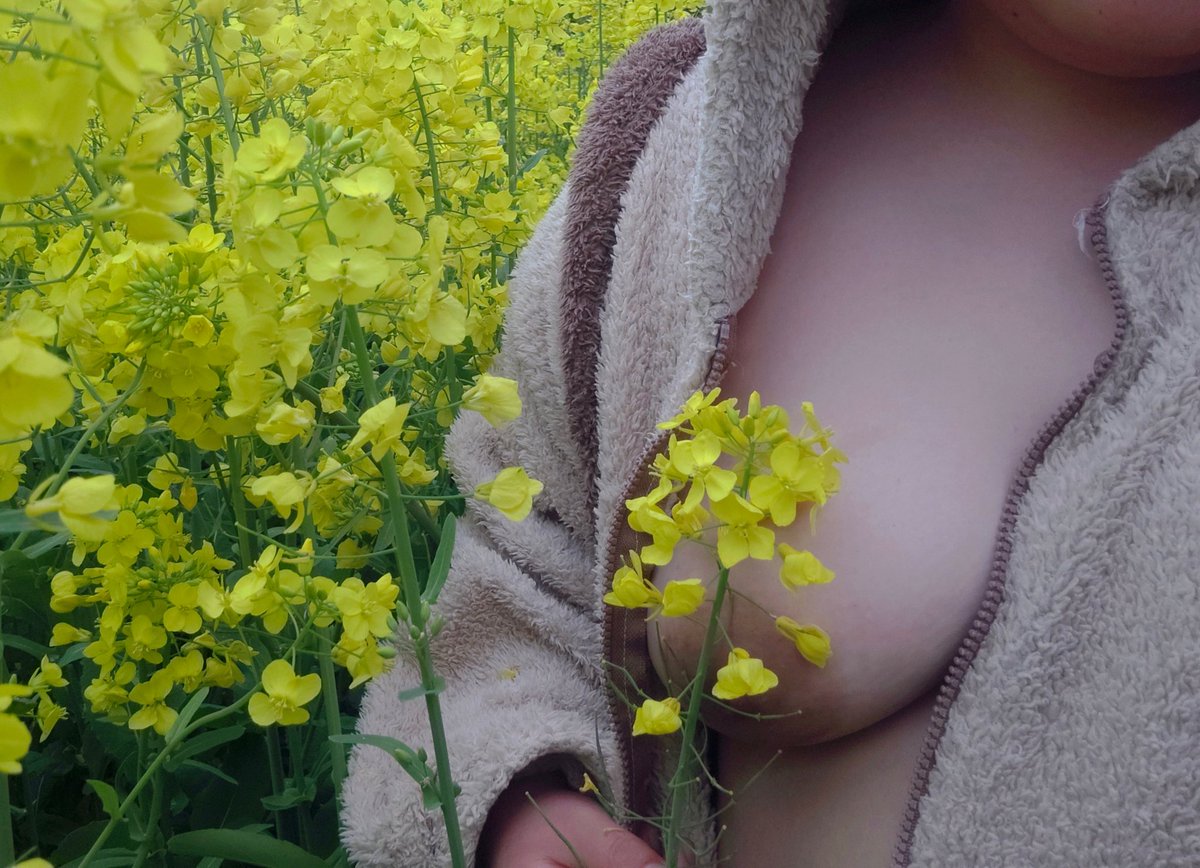 丧丧就可以了 tweet media