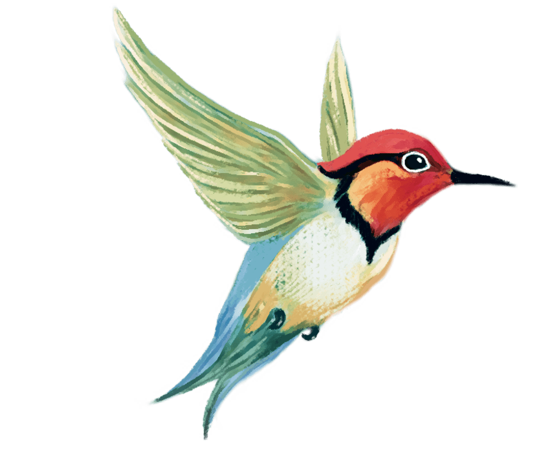 rose choi tweet media