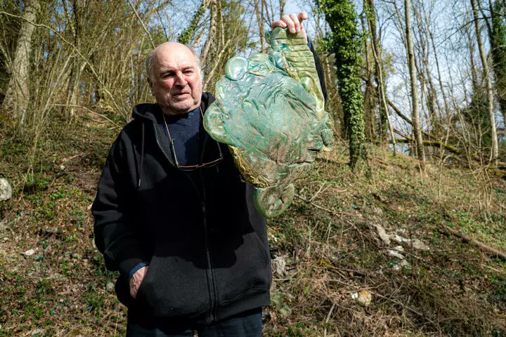 PBE 🦔🌳🐤🐾 tweet media